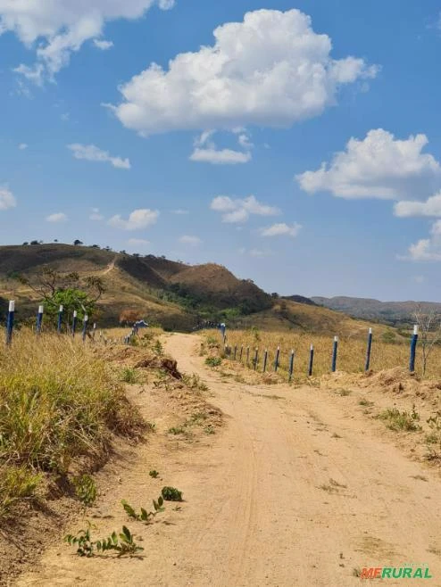 FAZENDA PARA GADO A VENDA EM PADRE BERNARDO COM 80 ALQUEIRES