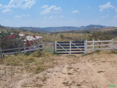 FAZENDA PARA GADO A VENDA EM PADRE BERNARDO COM 80 ALQUEIRES