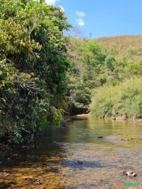 FAZENDA PARA GADO A VENDA EM PADRE BERNARDO COM 80 ALQUEIRES