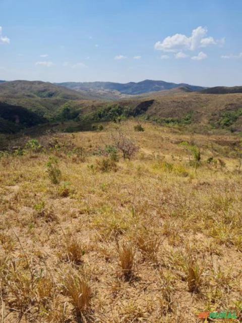 FAZENDA PARA GADO A VENDA EM PADRE BERNARDO COM 80 ALQUEIRES