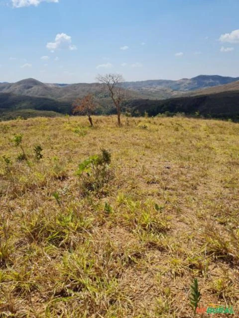 FAZENDA PARA GADO A VENDA EM PADRE BERNARDO COM 80 ALQUEIRES