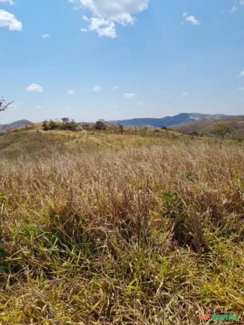 FAZENDA PARA GADO A VENDA EM PADRE BERNARDO COM 80 ALQUEIRES