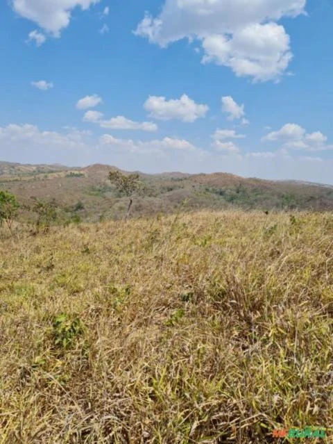 FAZENDA PARA GADO A VENDA EM PADRE BERNARDO COM 80 ALQUEIRES