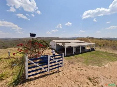 FAZENDA PARA GADO A VENDA EM PADRE BERNARDO COM 80 ALQUEIRES