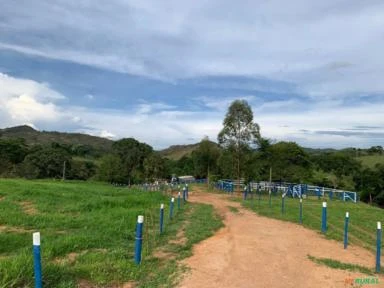 FAZENDA PARA GADO A VENDA EM PADRE BERNARDO COM 80 ALQUEIRES