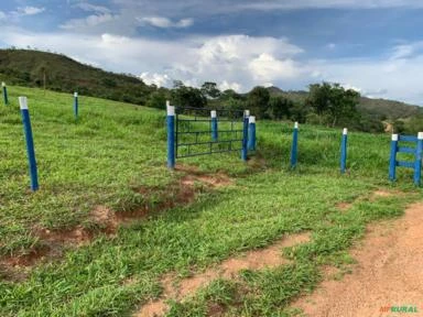 FAZENDA PARA GADO A VENDA EM PADRE BERNARDO COM 80 ALQUEIRES