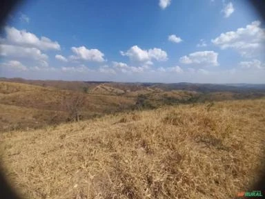 FAZENDA PARA GADO A VENDA EM PADRE BERNARDO COM 80 ALQUEIRES