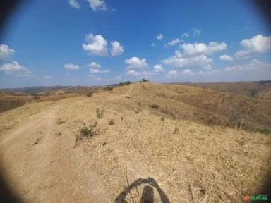 FAZENDA PARA GADO A VENDA EM PADRE BERNARDO COM 80 ALQUEIRES