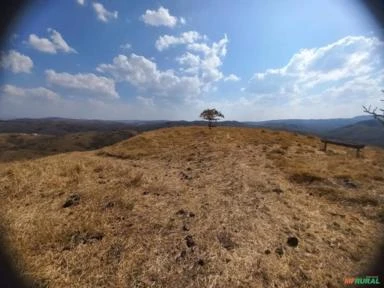 FAZENDA PARA GADO A VENDA EM PADRE BERNARDO COM 80 ALQUEIRES