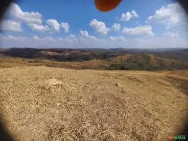 FAZENDA PARA GADO A VENDA EM PADRE BERNARDO COM 80 ALQUEIRES