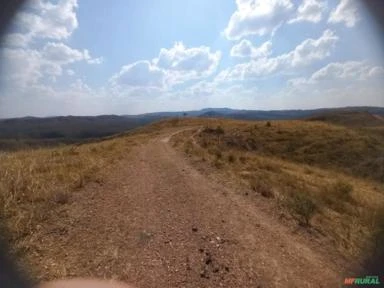 FAZENDA PARA GADO A VENDA EM PADRE BERNARDO COM 80 ALQUEIRES