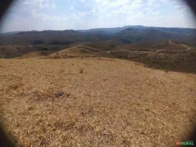 FAZENDA PARA GADO A VENDA EM PADRE BERNARDO COM 80 ALQUEIRES