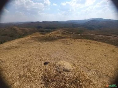 FAZENDA PARA GADO A VENDA EM PADRE BERNARDO COM 80 ALQUEIRES