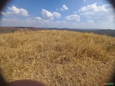 FAZENDA PARA GADO A VENDA EM PADRE BERNARDO COM 80 ALQUEIRES