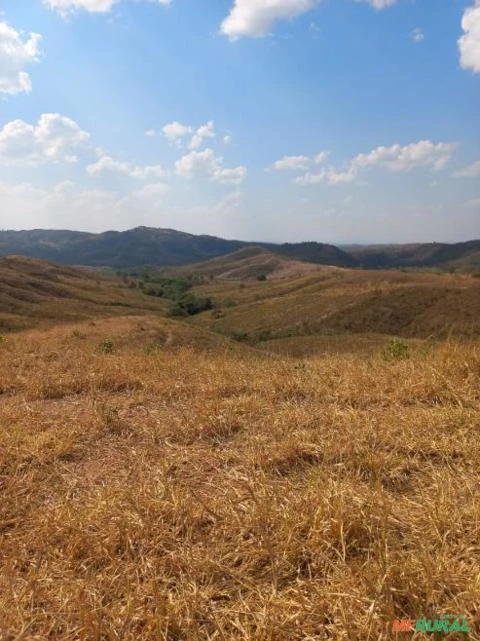 FAZENDA PARA GADO A VENDA EM PADRE BERNARDO COM 80 ALQUEIRES