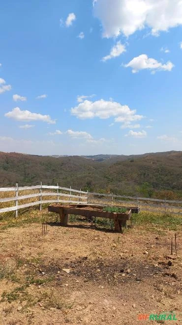 FAZENDA PARA GADO A VENDA EM PADRE BERNARDO COM 80 ALQUEIRES