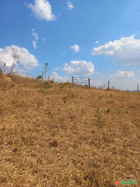 FAZENDA PARA GADO A VENDA EM PADRE BERNARDO COM 80 ALQUEIRES