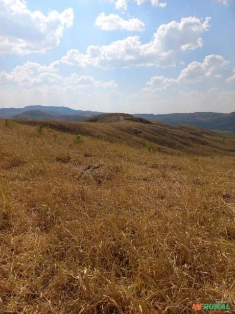 FAZENDA PARA GADO A VENDA EM PADRE BERNARDO COM 80 ALQUEIRES