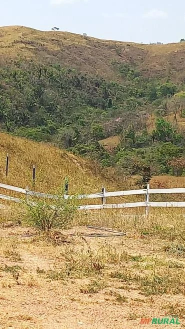 FAZENDA PARA GADO A VENDA EM PADRE BERNARDO COM 80 ALQUEIRES