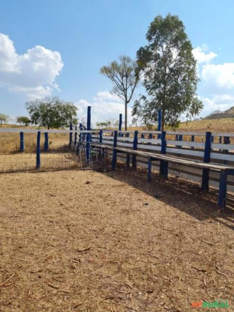 FAZENDA PARA GADO A VENDA EM PADRE BERNARDO COM 80 ALQUEIRES