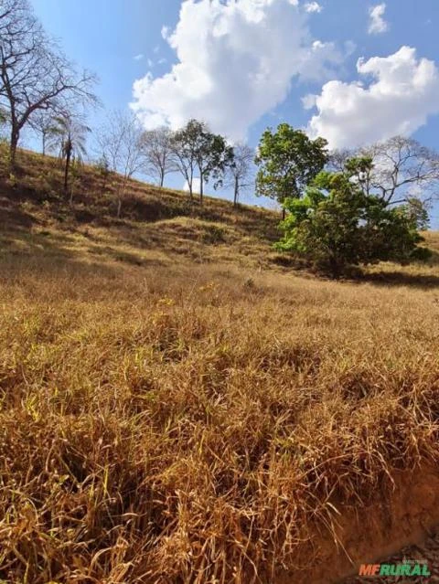 FAZENDA PARA GADO A VENDA EM PADRE BERNARDO COM 80 ALQUEIRES