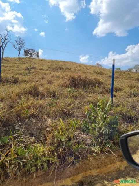 FAZENDA PARA GADO A VENDA EM PADRE BERNARDO COM 80 ALQUEIRES