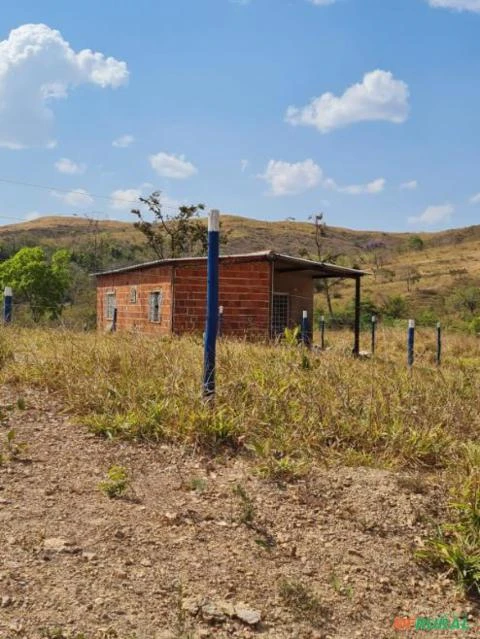 FAZENDA PARA GADO A VENDA EM PADRE BERNARDO COM 80 ALQUEIRES