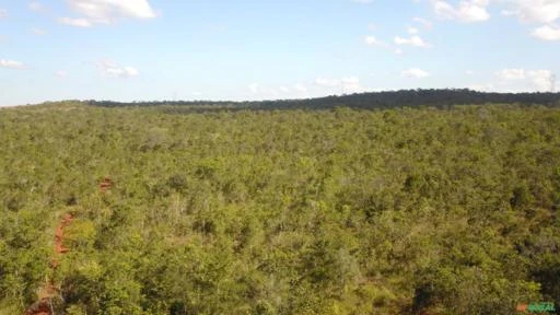 FAZENDA  PARA SOJA OU GADO EM LUZIÂNIA – GO