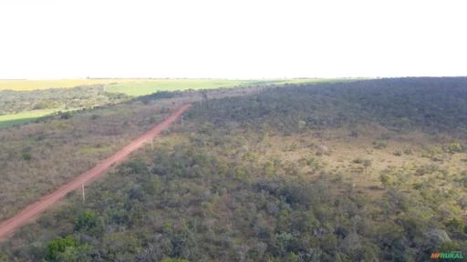 FAZENDA  PARA SOJA OU GADO EM LUZIÂNIA – GO