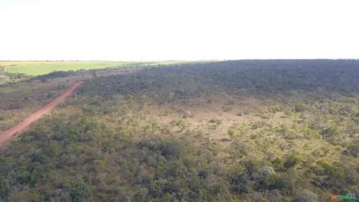 FAZENDA  PARA SOJA OU GADO EM LUZIÂNIA – GO