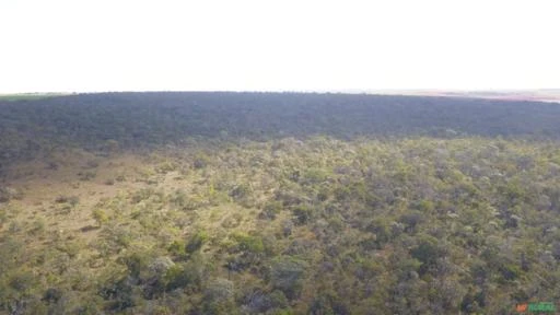 FAZENDA  PARA SOJA OU GADO EM LUZIÂNIA – GO