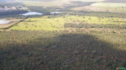 FAZENDA  PARA SOJA OU GADO EM LUZIÂNIA – GO