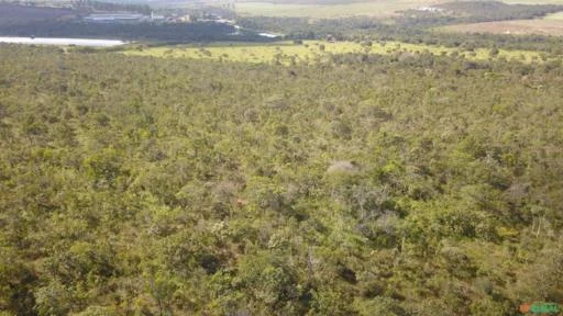 FAZENDA  PARA SOJA OU GADO EM LUZIÂNIA – GO