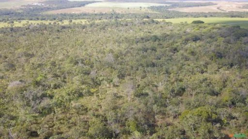 FAZENDA  PARA SOJA OU GADO EM LUZIÂNIA – GO