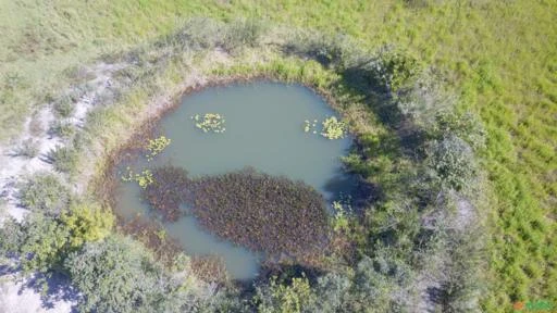 FAZENDA PARA SOJA OU GADO NA BEIRA DO RIO PRETO EM UNAÍ – MG