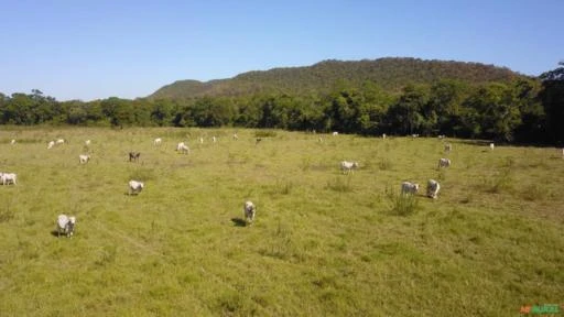 FAZENDA PARA SOJA OU GADO NA BEIRA DO RIO PRETO EM UNAÍ – MG