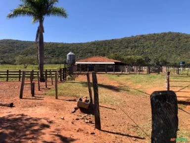 FAZENDA PARA SOJA OU GADO NA BEIRA DO RIO PRETO EM UNAÍ – MG