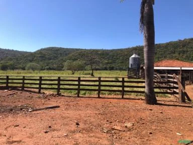 FAZENDA PARA SOJA OU GADO NA BEIRA DO RIO PRETO EM UNAÍ – MG