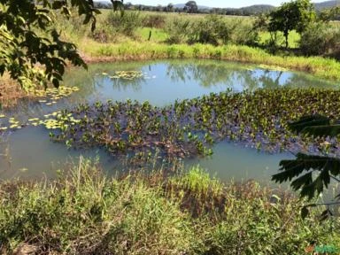 FAZENDA PARA SOJA OU GADO NA BEIRA DO RIO PRETO EM UNAÍ – MG