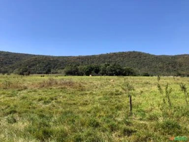 FAZENDA PARA SOJA OU GADO NA BEIRA DO RIO PRETO EM UNAÍ – MG