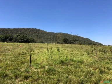 FAZENDA PARA SOJA OU GADO NA BEIRA DO RIO PRETO EM UNAÍ – MG