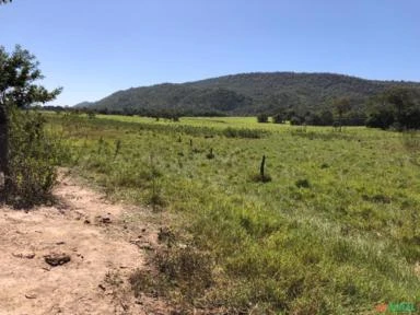 FAZENDA PARA SOJA OU GADO NA BEIRA DO RIO PRETO EM UNAÍ – MG