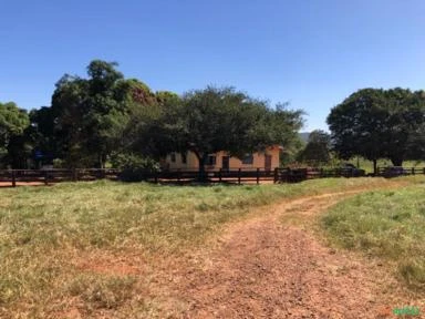 FAZENDA PARA SOJA OU GADO NA BEIRA DO RIO PRETO EM UNAÍ – MG