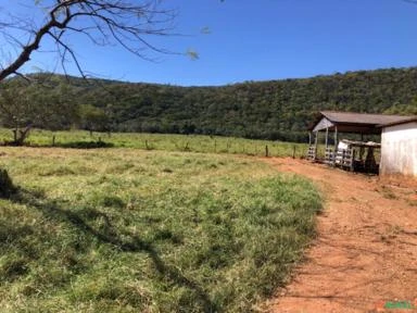 FAZENDA PARA SOJA OU GADO NA BEIRA DO RIO PRETO EM UNAÍ – MG