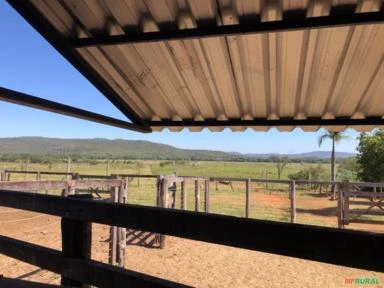 FAZENDA PARA SOJA OU GADO NA BEIRA DO RIO PRETO EM UNAÍ – MG