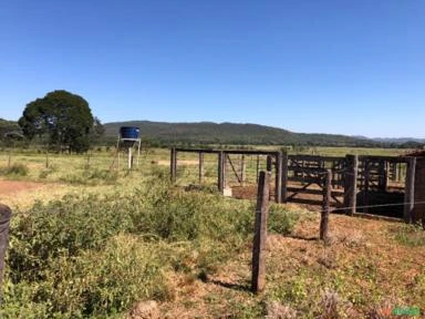 FAZENDA PARA SOJA OU GADO NA BEIRA DO RIO PRETO EM UNAÍ – MG