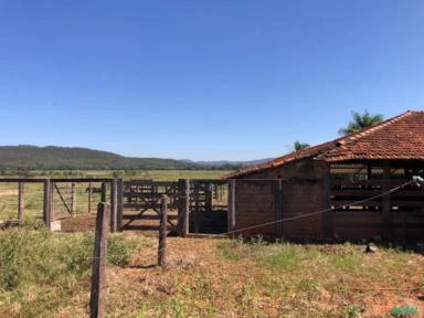 FAZENDA PARA SOJA OU GADO NA BEIRA DO RIO PRETO EM UNAÍ – MG