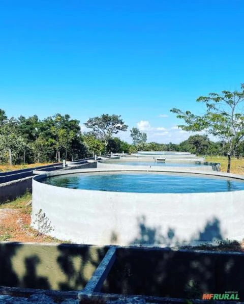 CHÁCARA A VENDA EM SANTO ANTÔNIO DO DESCOBERTO-GO