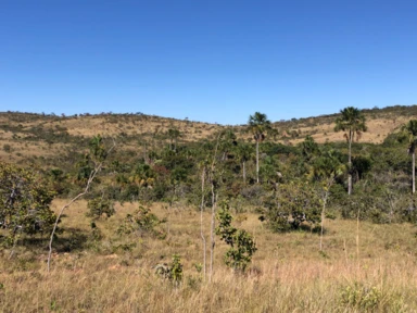 Fazenda para Gado, Soja ou reserva na Serra Bonita Buritis - MG