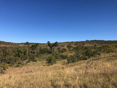 Fazenda para Gado, Soja ou reserva na Serra Bonita Buritis - MG